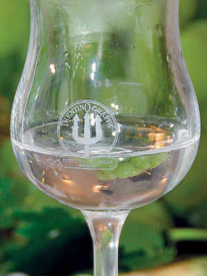 Trentino Grappa, A Heart-Warming Spirit