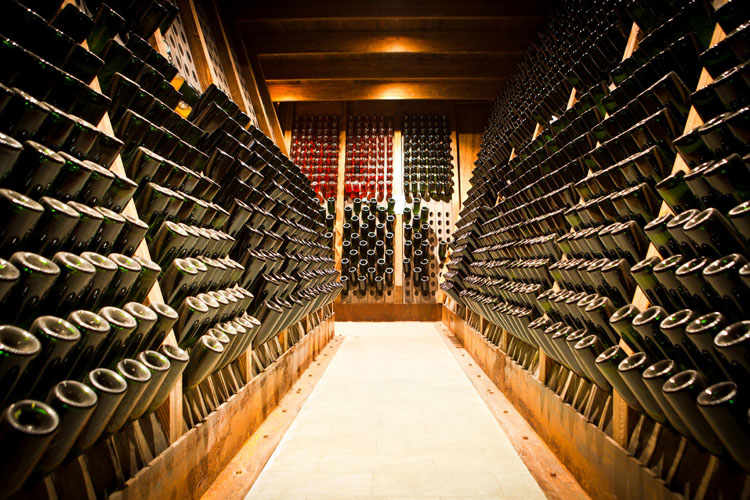 Valdigne: Wines and Fontina Cheese